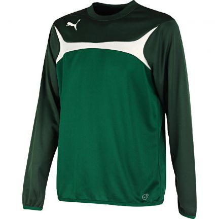 Puma 3 Training 653967 Sweat Pmua01051